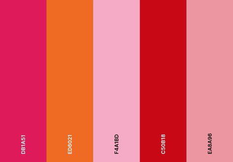 Mirror-Mirror Brunch